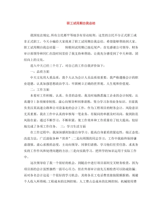 职工试用期自我总结