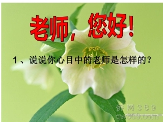 老师，您好！