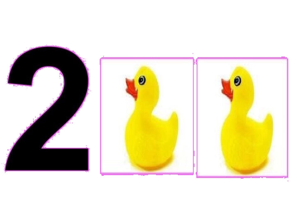 一一对应PPT_第2页