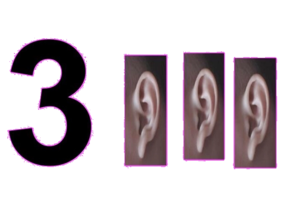 一一对应PPT_第3页