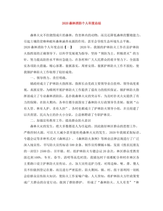 2020森林消防个人年度总结 
