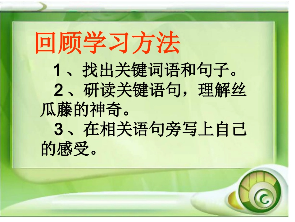 《神奇的丝瓜》课件_第3页
