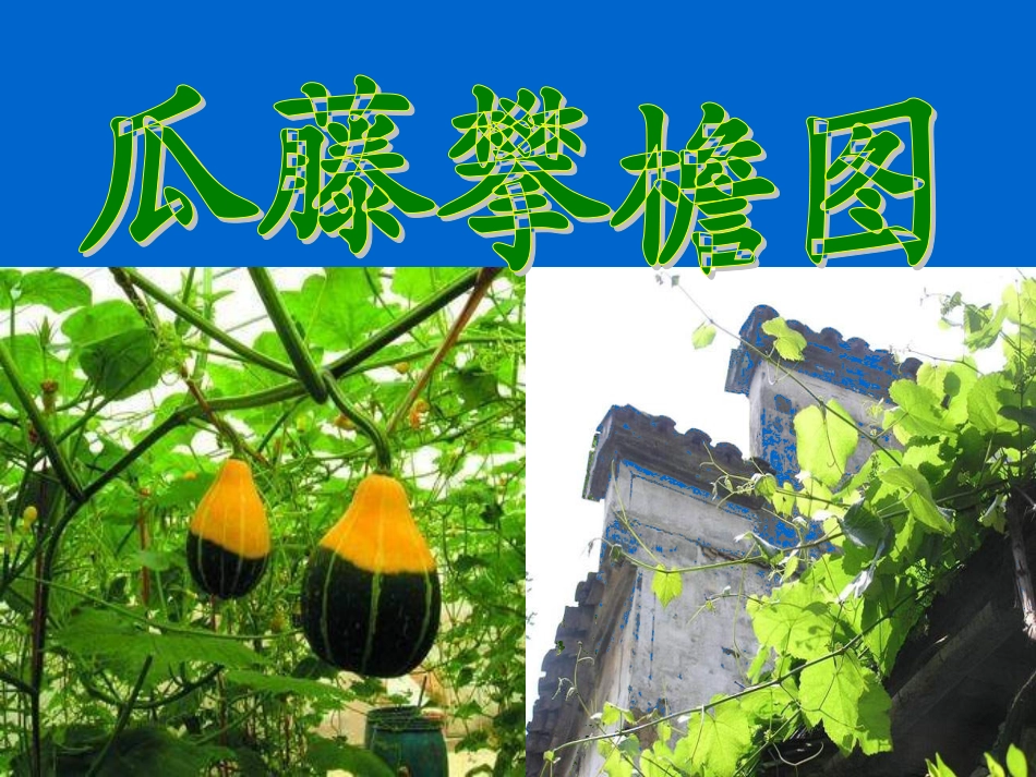 乡下人家第二课时_第2页