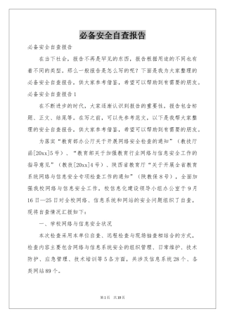 必备安全自查报告