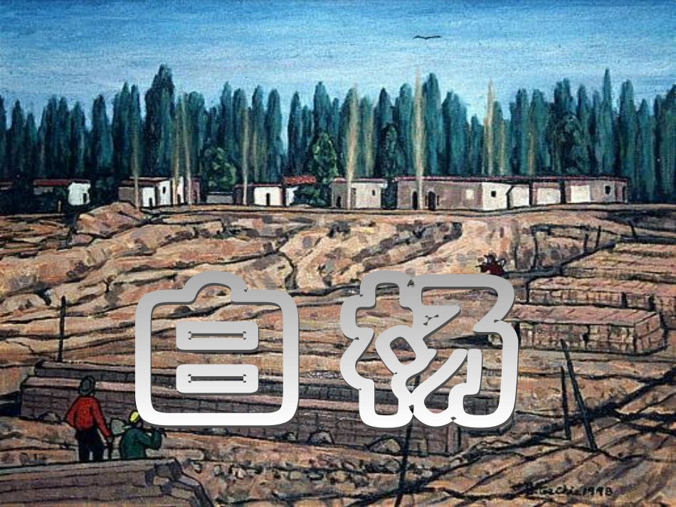《白杨》课件_第1页