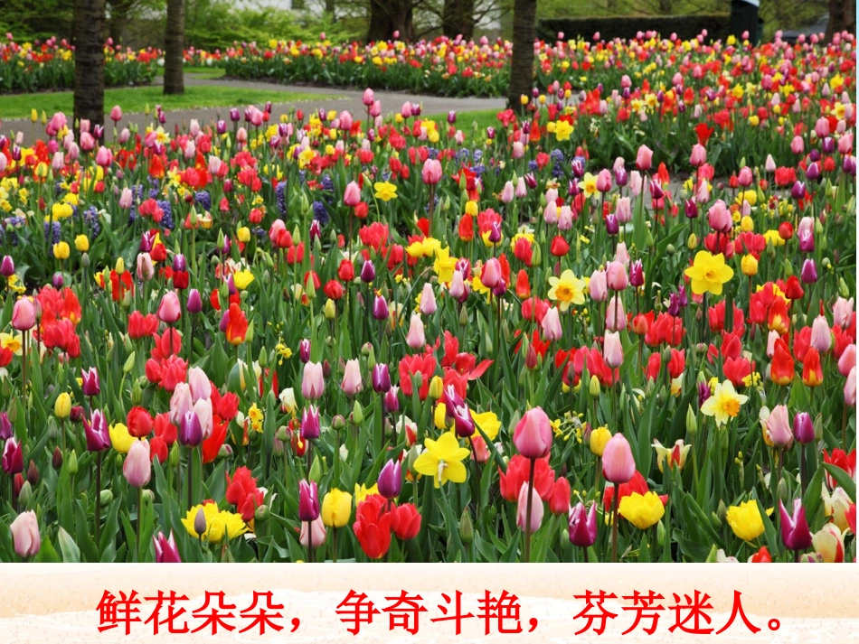 三年级语文《花钟》课件1_第2页