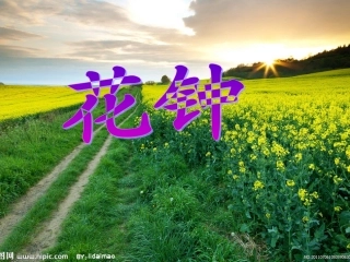 三年级语文《花钟》课件1