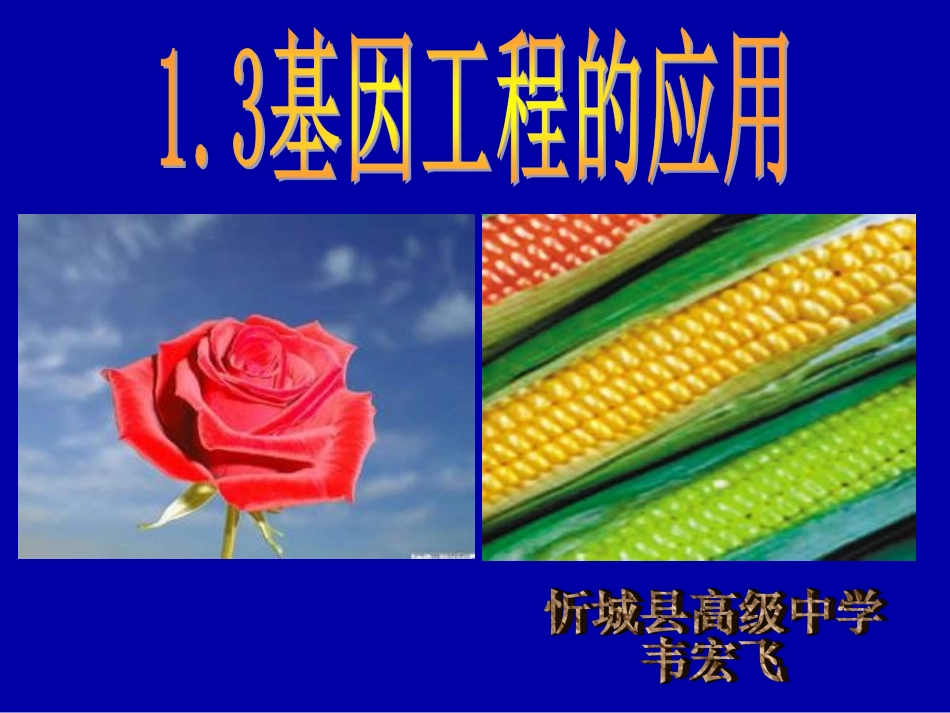 基因工程的应用 _第1页