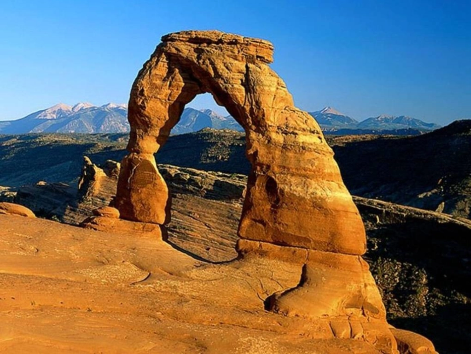 第三单元4土壤中有什么_第3页