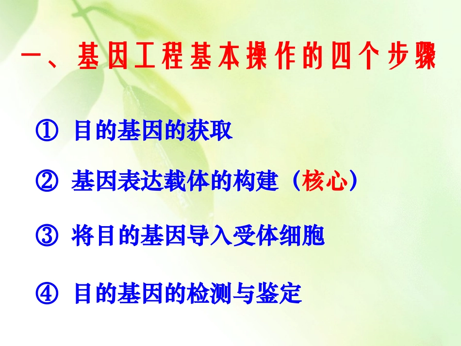 第2节_基因工程的基本操作程序_第2页