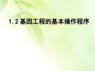 第2节_基因工程的基本操作程序