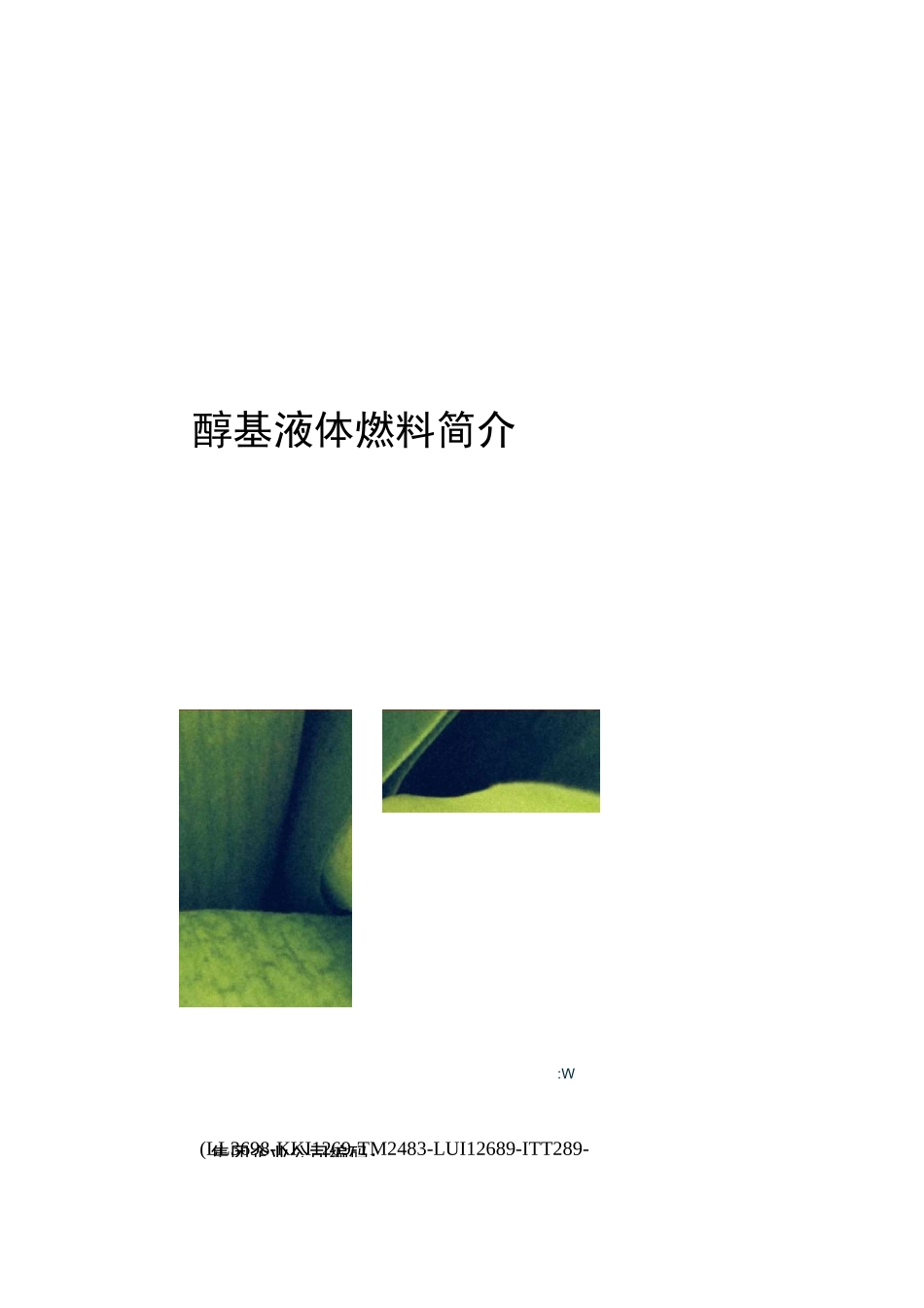 醇基液体燃料简介_第1页