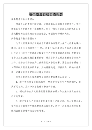 安全隐患自检自查报告