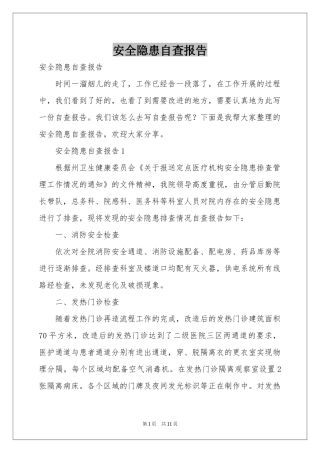 安全隐患自查报告