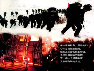 -细胞生活的环境