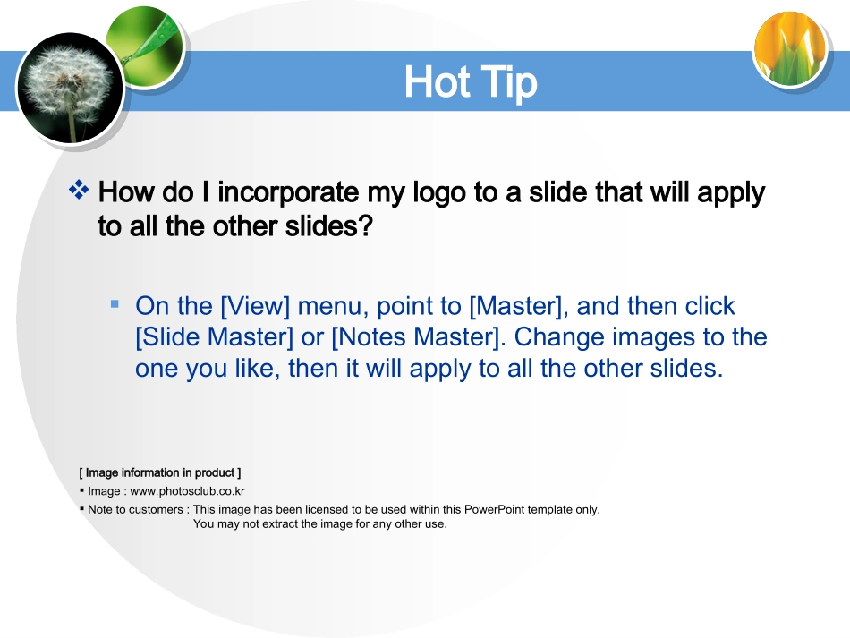 使用母版设置幻灯片格_第3页