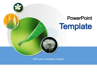 使用母版设置幻灯片格