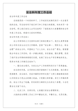 安全科年度工作参考总结