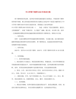 中小学骨干教师年培训方案