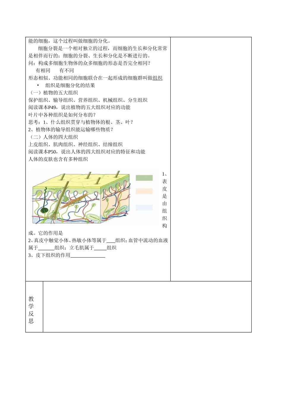 生物的结构层次（）_第2页