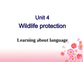 高一英语人教课标必修二Unit4Learningaboutlanguage