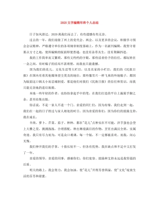 2020文字编辑年终个人总结 