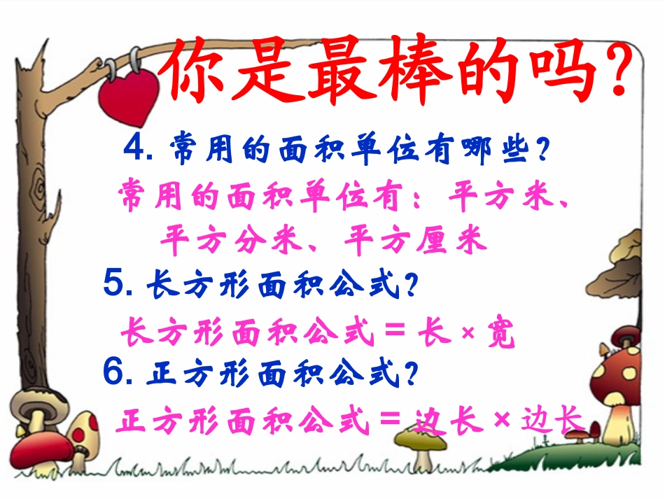 面积单位间的进率新课_第3页