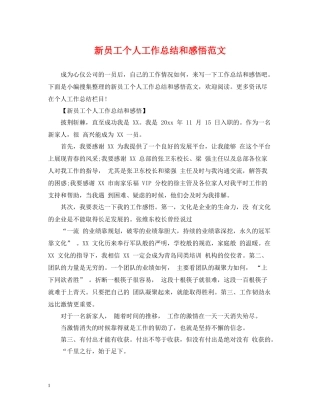 新员工个人工作总结和感悟范文