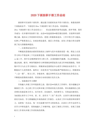 下派挂职干部工作总结