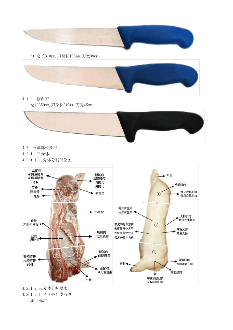 冷却猪肉分割技术指南_第2页
