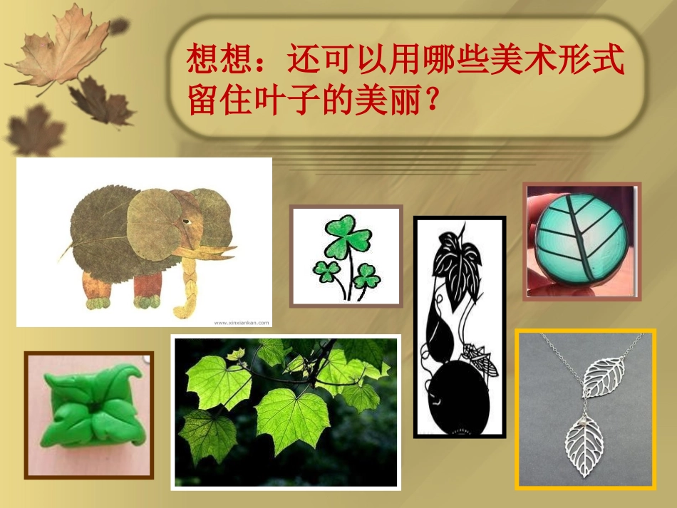 拓印树叶真有趣1_第2页