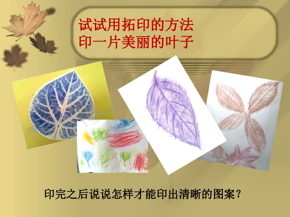拓印树叶真有趣1_第3页