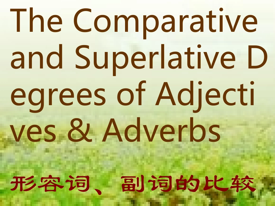 比较等级课件_第1页