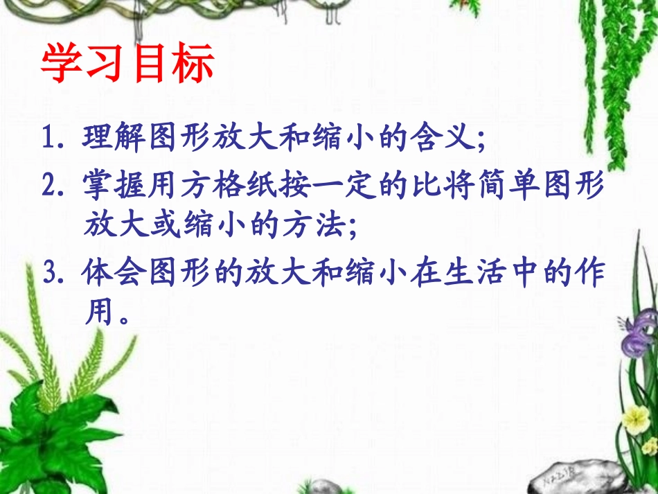 图形的放大缩小_第2页