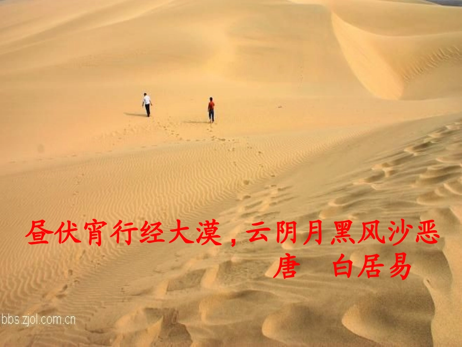 在沙漠中心课件_第3页