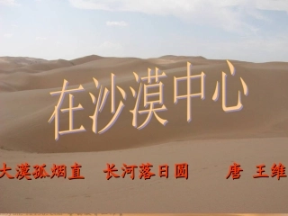 在沙漠中心课件
