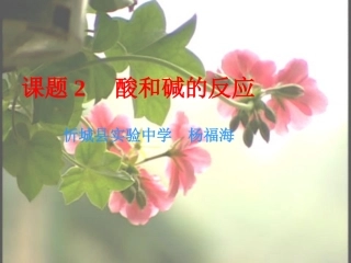 酸和碱的反应