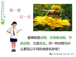 2013版生物八上612从种到界 (2)