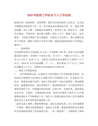 2020年驻村工作队长个人工作总结 
