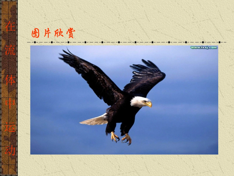 在流体中运动_第3页