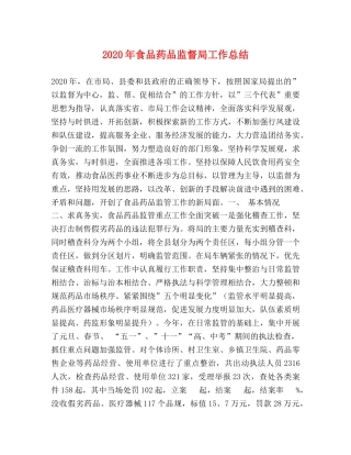 2020年食品药品监督局工作总结 