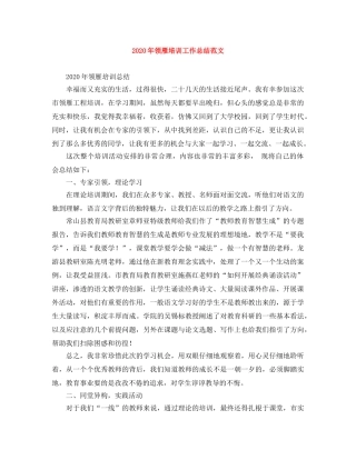 2020年领雁培训工作总结范文 