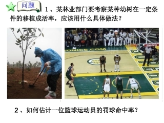 用频率估计概率-姜晓明