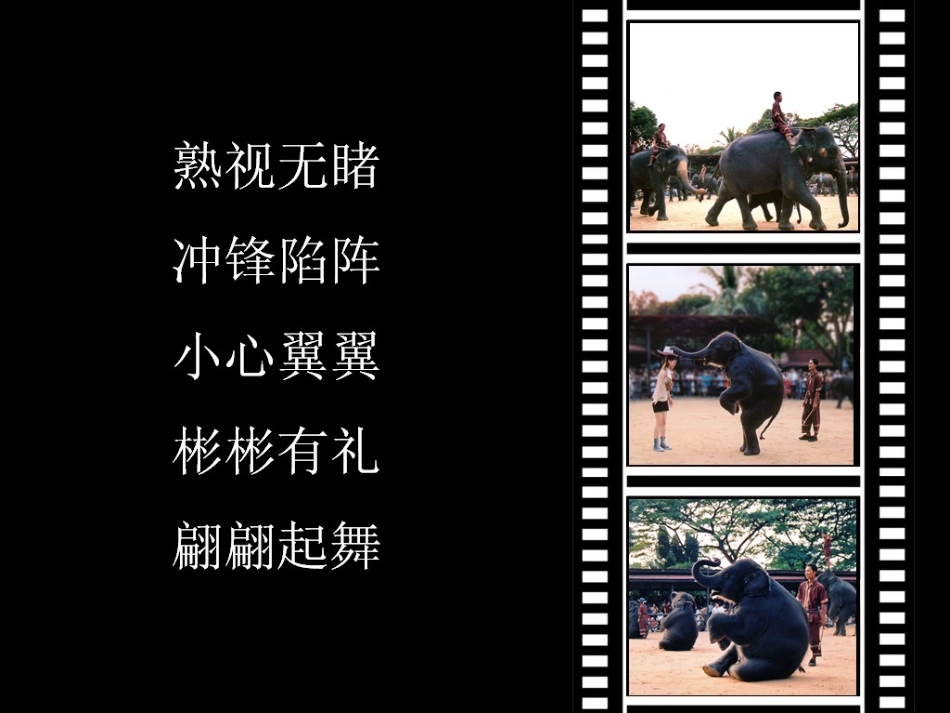 与象共舞（A）_第2页