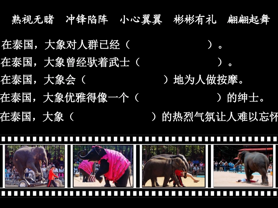 与象共舞（A）_第3页
