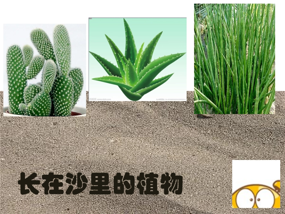 种子藏在哪里_第3页