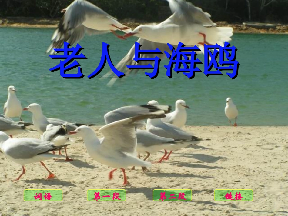老人与海鸥(确定）_第2页