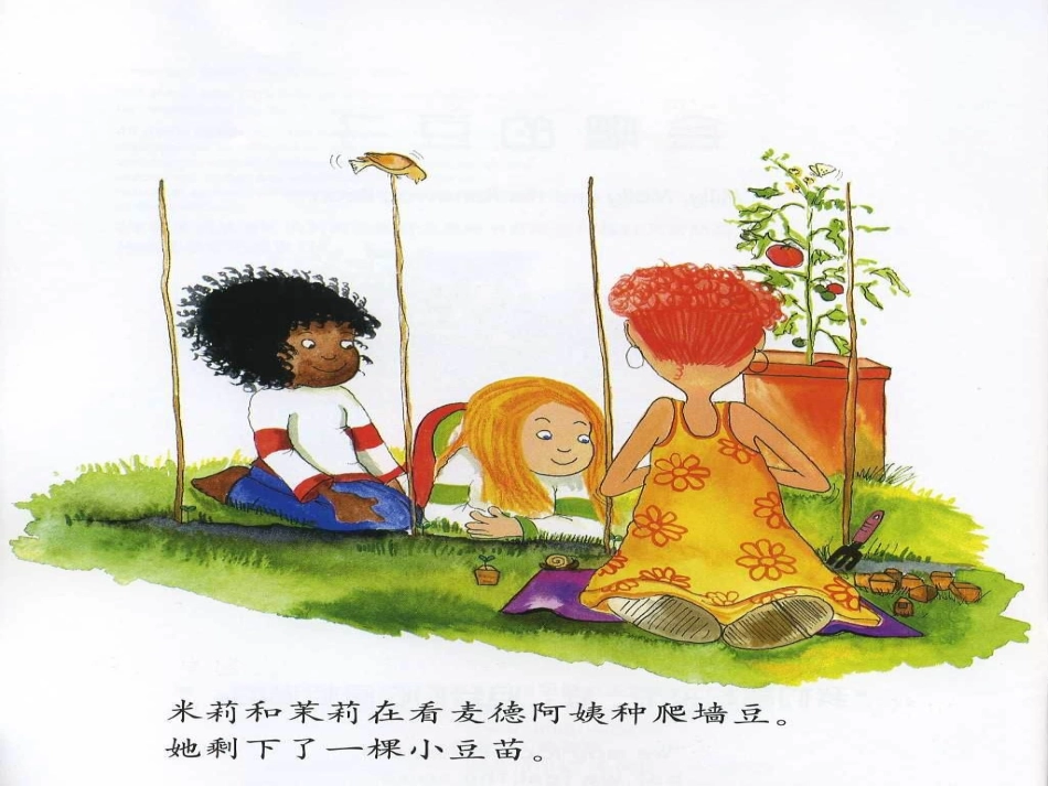 绘本：会爬的豆子1_第3页