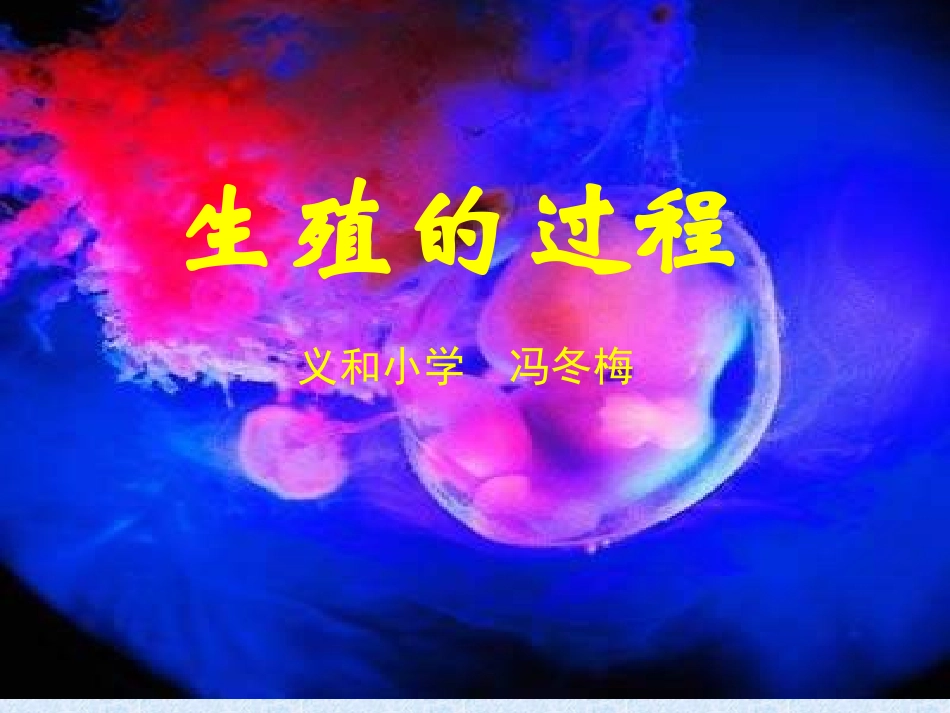 课件(人的生殖和发育)微课_第2页