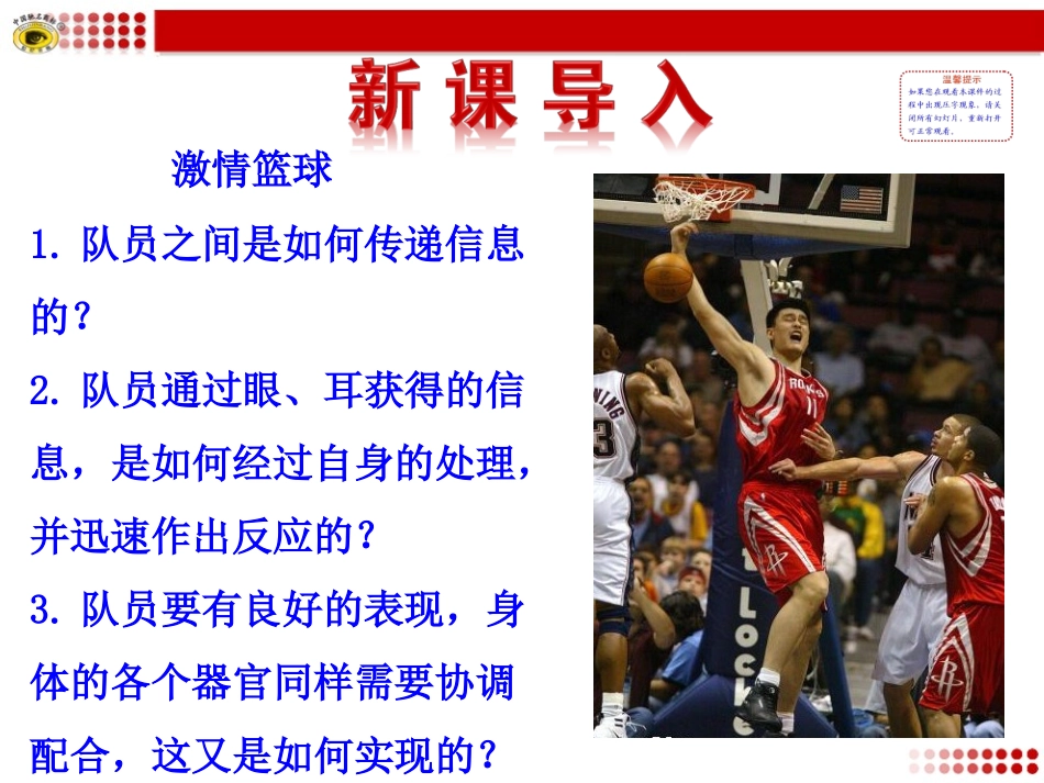 第二节神经系统的结构与功能（一）_第2页